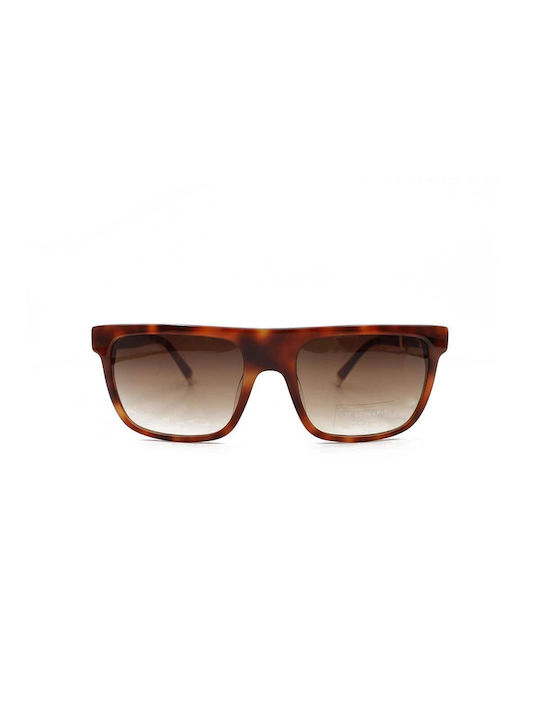 BSB Sunglasses with Brown Tartaruga Plastic Frame and Brown Gradient Lens 2984 BR2