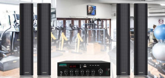 DSPPA MP250UB Ολοκληρωμένος Ενισχυτής Εγκαταστάσεων με 1 Ζώνη 250W/100V και Συνδέσεις USB/FM/Bluetooth OAVDSPWZM0012