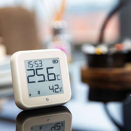 Shelly Digital Thermometer & Hygrometer