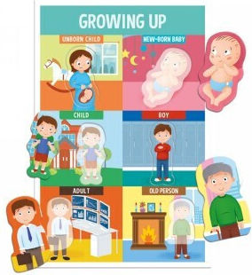 Headu Монтесори Образователна Игра Образователни за 3-5 Години