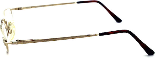 Aristar Damen Metallisches Brillengestell Gold 6652 001