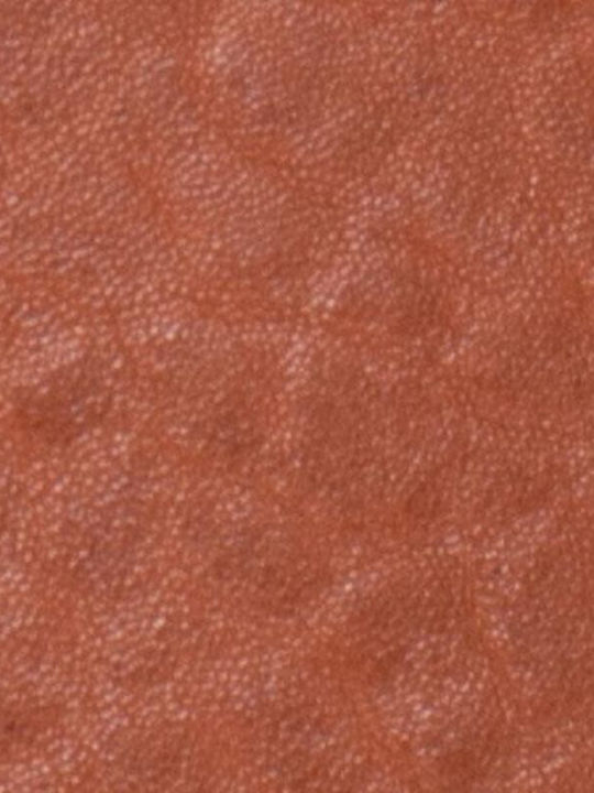 De piele Geantă de damă Crossbody Tabac maro