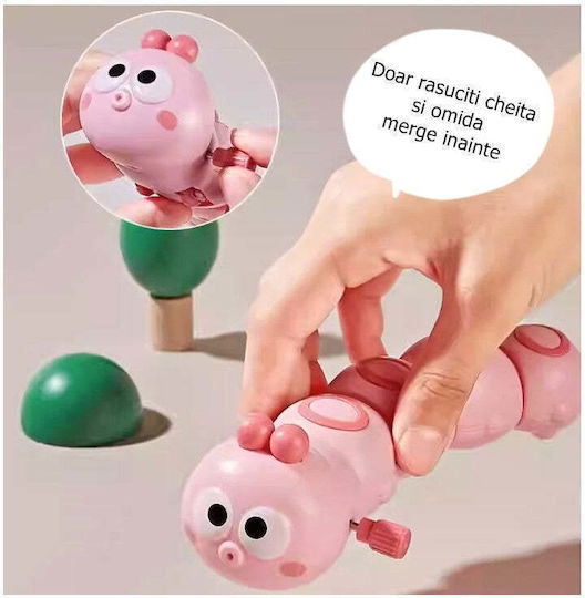 Ζωάκι