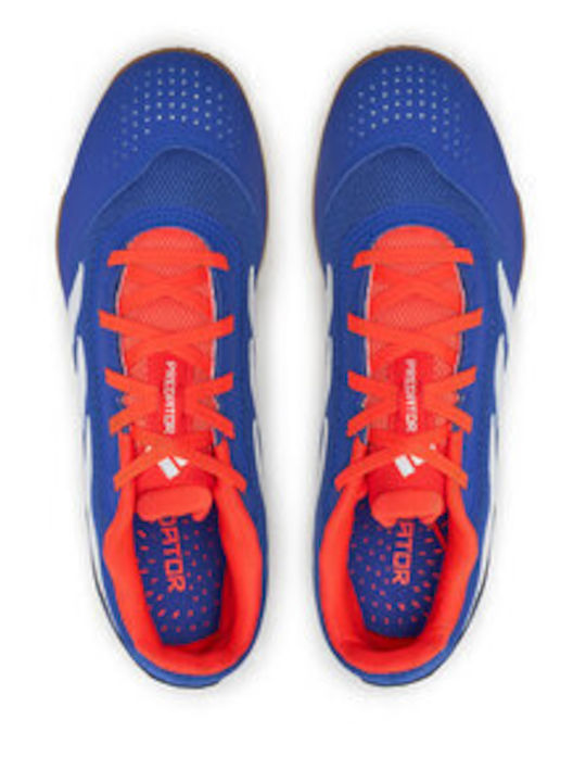 adidas Predator Club Fußballschuhe Halle Blau