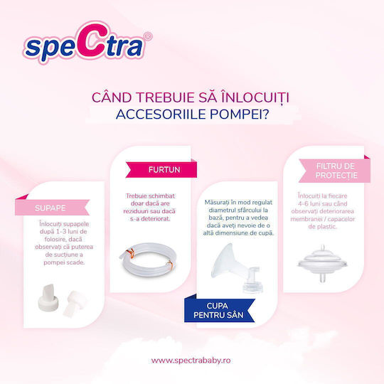 Spectra 24 mm cup M Αξεσουάρ Θηλασμού