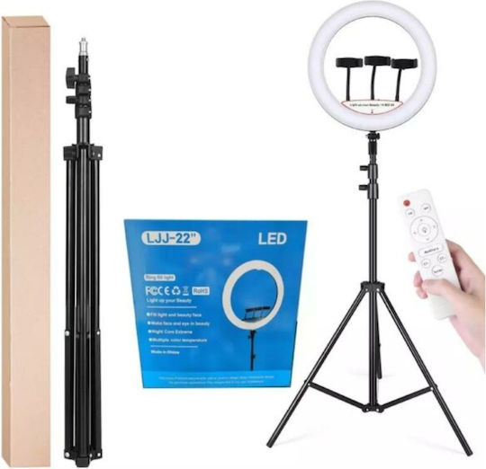 Ring Light 56cm with Tripod Floor and Mobile Holder