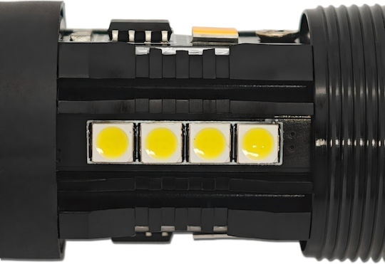Lampen Auto W21/5W LED 5500K Kaltes Weiß 12V 1Stück