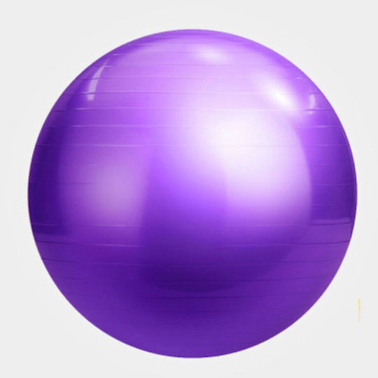 MotivationPro Mini Balls Pilates 20cm in Purple Color