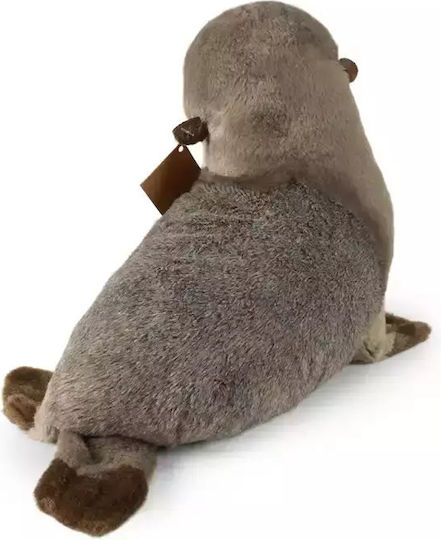 Rappa Plüsch Robbe für 3+ Jahre 30 cm