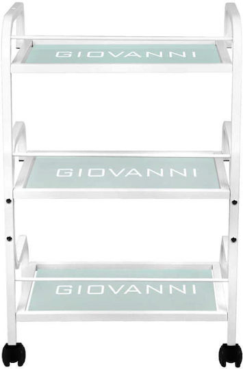 Beauty Roll Hair Salon Maintenance Cart