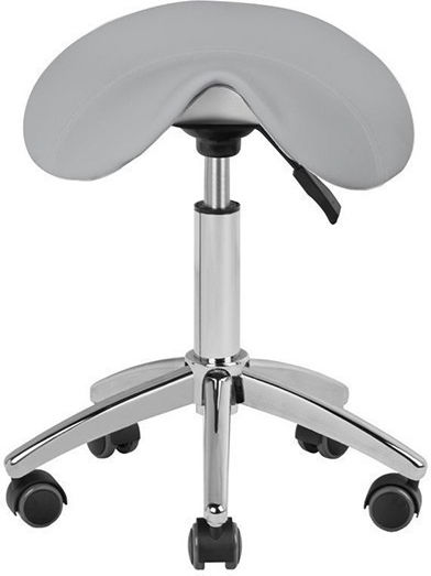 Salon Stools Scaun