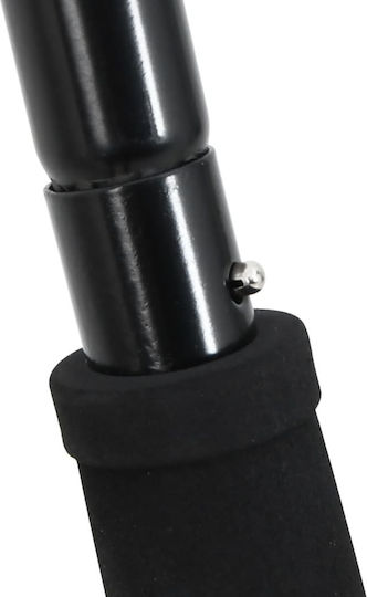 vidaXL 172482 Pole 1.27m