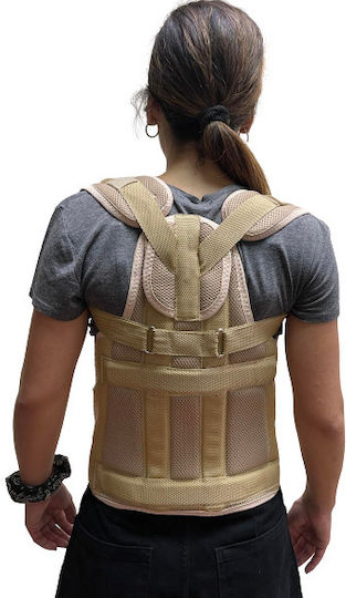 Kifidis Orthopedics Κηδεμόνας Taylor Taylor Νάρθηκας Μέσης 50cm