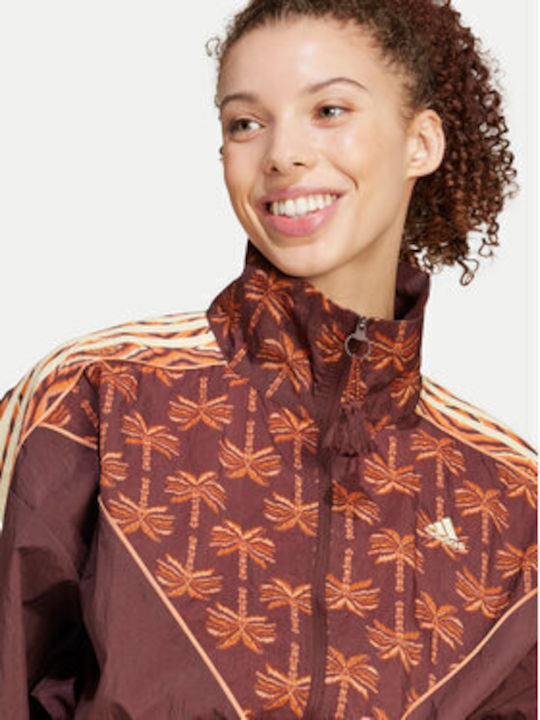 adidas Women's One-piece Suit Coffee