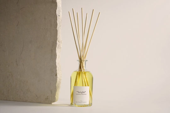 Αρωματικό Χώρου Στικς 250ml Orange & Cinnamon Bright Diffuser Olphactory