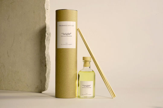 100ml Orange & Cinnamon Bright Diffuser Olphactory