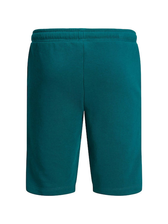 Jack & Jones Kids Athletic Shorts/Bermuda TCX STORM