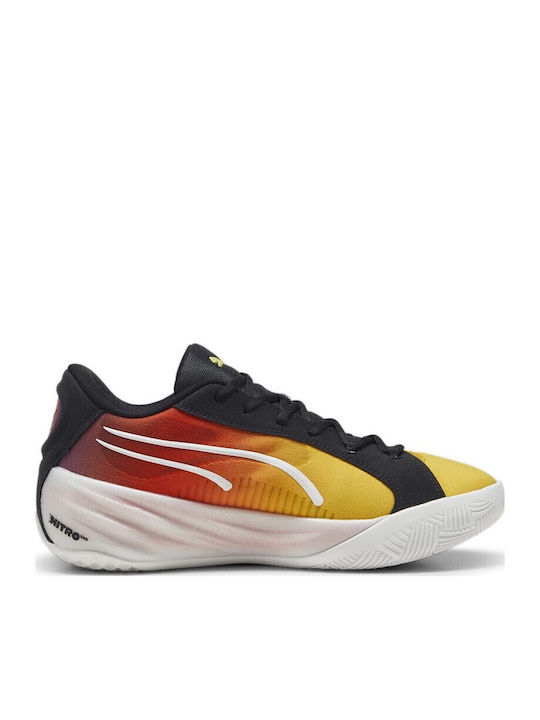 All-Pro Nitro Showtime Niedrig Basketballschuhe Mehrfarbig