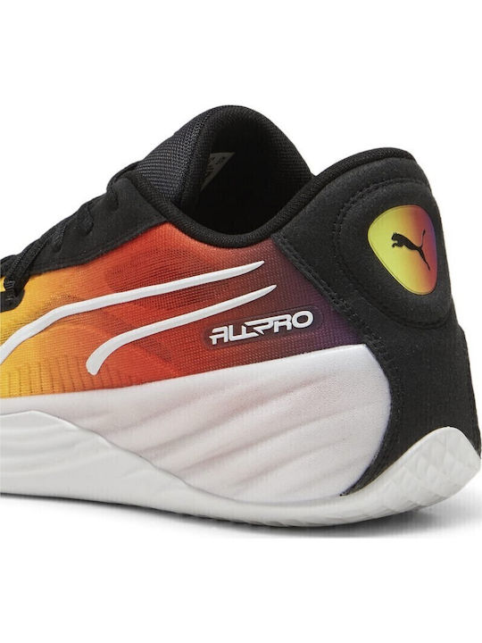 All-Pro Nitro Showtime Niedrig Basketballschuhe Mehrfarbig