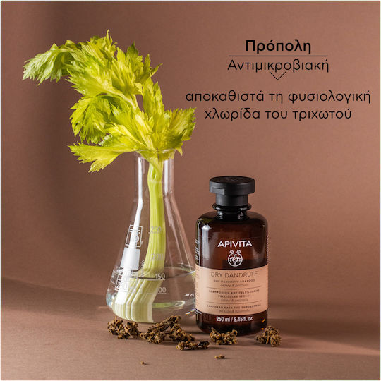 Apivita Dry Dandruff Celery & Propolis Σαμπουάν Kατά της Πιτυρίδας & της Ξηροδερμίας 250ml