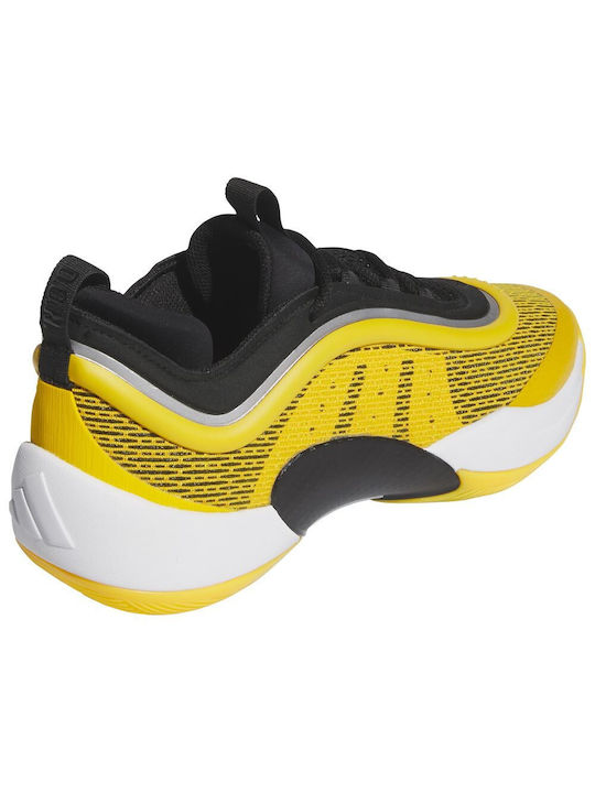 Adidas Low Basketball Shoes Yellow