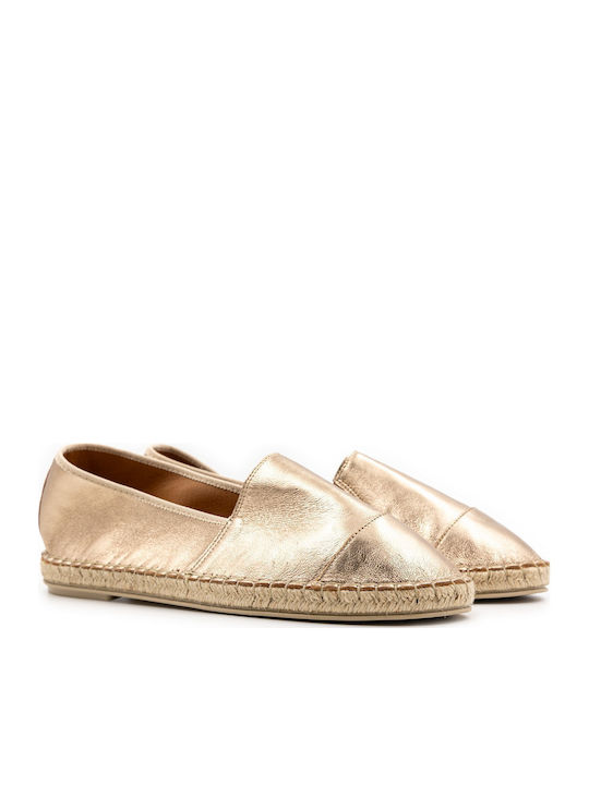 Rolling Steps Shoes