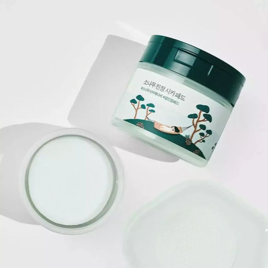 Round Lab Gesichtswasser Tonic Pads mit Centella Asiatica