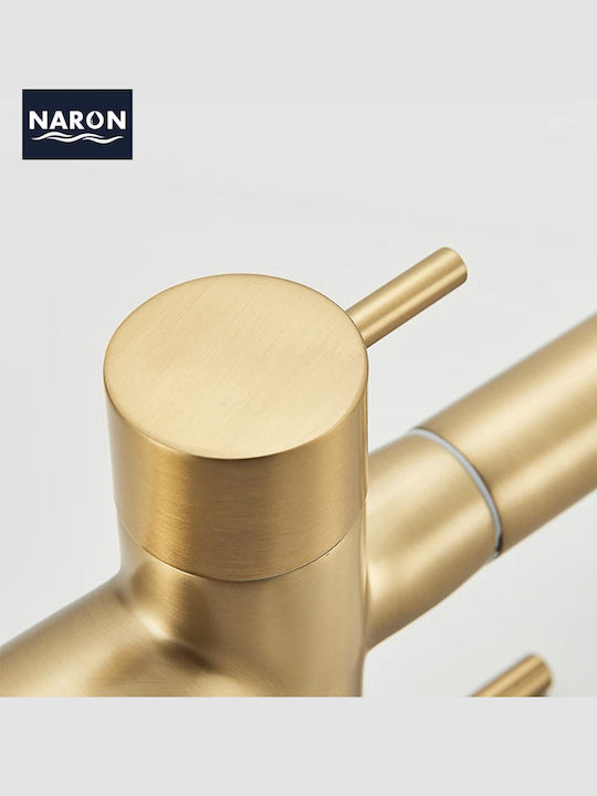 Naron Kitchen Faucet Counter with Shower Brushed Gold