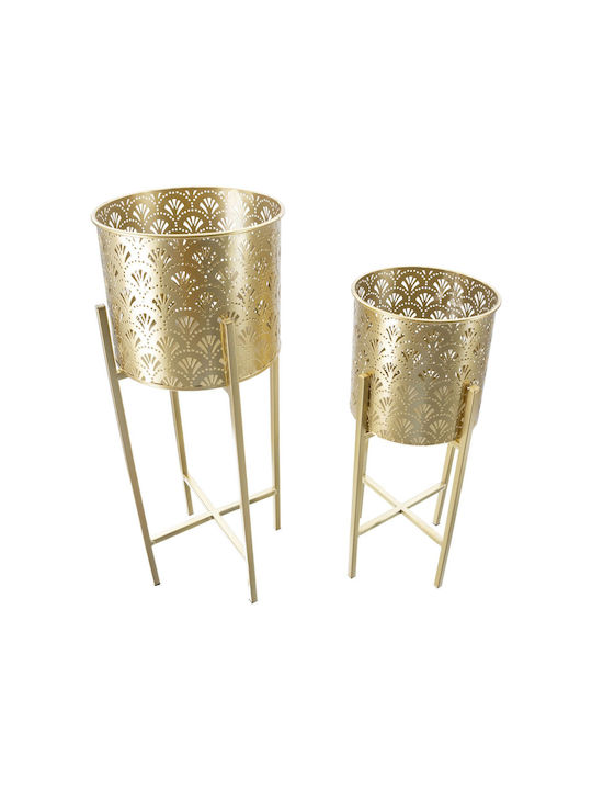 Mauro F Pot Gold Set 2pcs