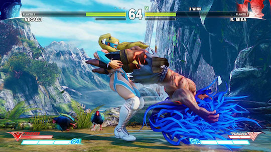 Street Fighter V PS4 Game