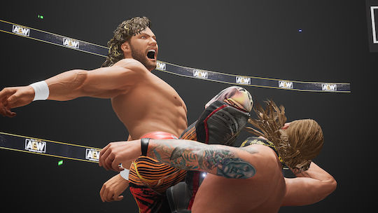 AEW: Fight Forever PS4 Game