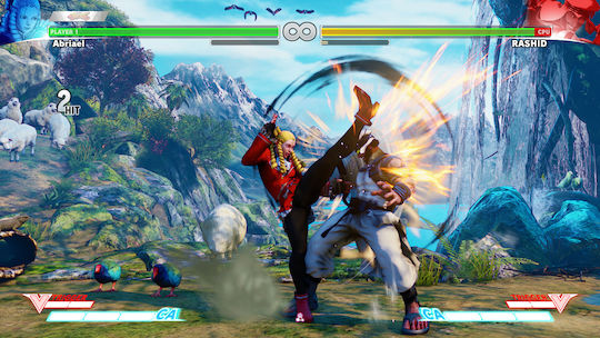 Street Fighter V PS4 Game