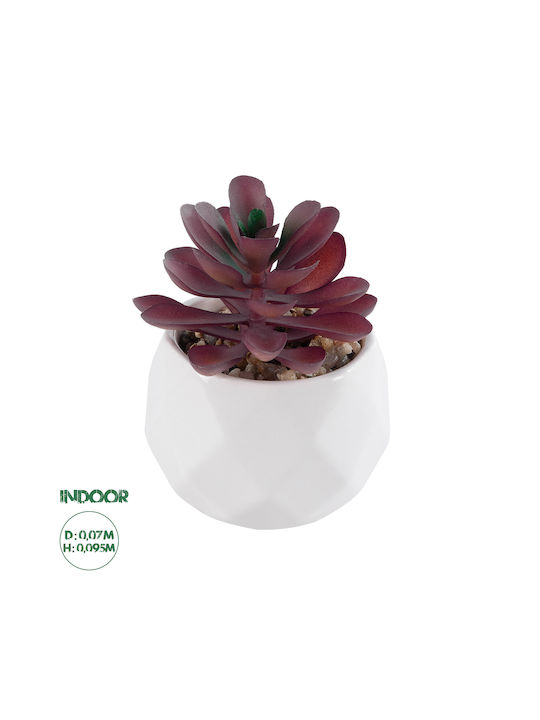 Globostar Künstliche Garten Sukkulente Crassula 21004 Dekorative Pflanze Sukkulente Crassula H9,5cm