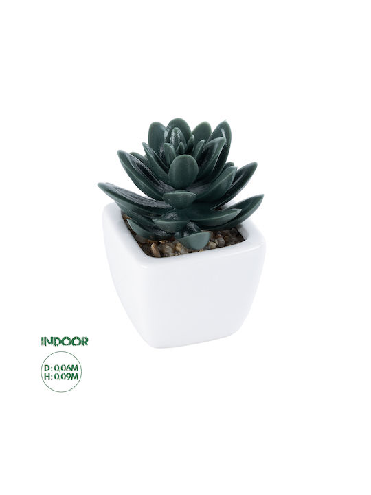 Globostar Artificial Garden Succulent Sedeveria 20977 Decorative Plant Succulent Sedeveria H9cm