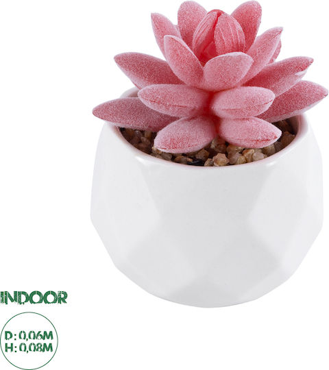 Globostar Suculentă Artificială de Grădină Sedeveria 20981 Plantă Decorativă Suculentă Sedeveria H8cm Globostar Suculentă Artificială de Grădină Sedeveria 20981 Plantă Decorativă Suculentă Sedeveria H8cm