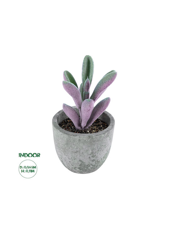 Artificial Plant in Small Pot Succulent Crassula Green 11cm GloboStar