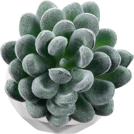 Globostar Künstlicher Garten Sukkulente Sedeveria 21001 Dekorative Pflanze Sukkulente Sedeveria H9,5cm