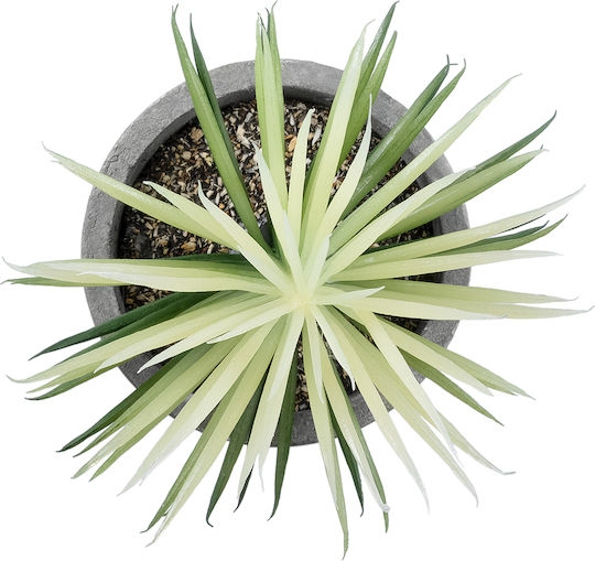 Globostar? Artificial Garden Succulent Senecio 21024 Διακοσμητικό Φυτό Παχύφυτο Σενέκιο Υ12cm