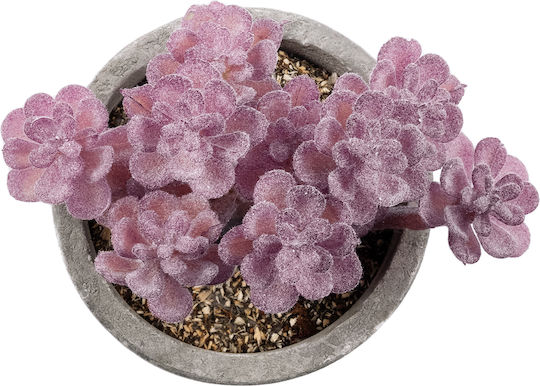 Globostar Artificial Garden Succulent Sedum 21017 Decorative Plant Succulent Sedum H10cm