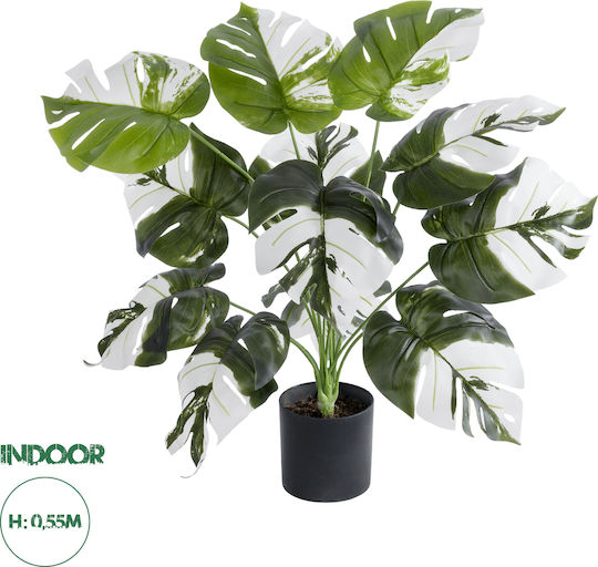 Globostar? Artificial Garden Albino Monstera 20935 Διακοσμητικό Φυτό Λευκή Μονστέρα Υ55cm
