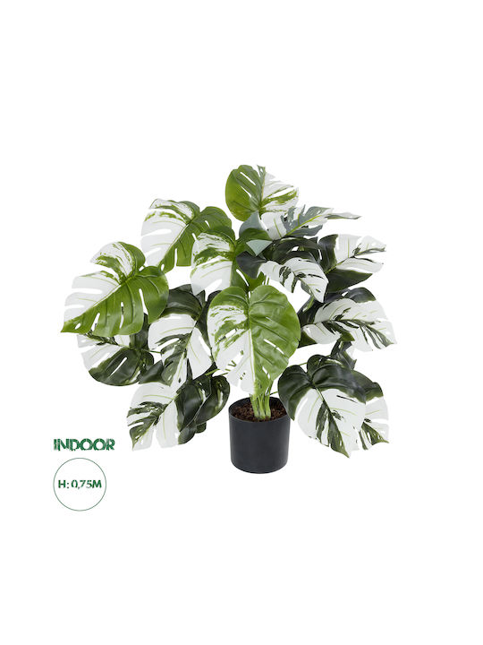 Globostar Artificial Garden Albino Monstera 20925 Decorative Plant White Monstera H75cm
