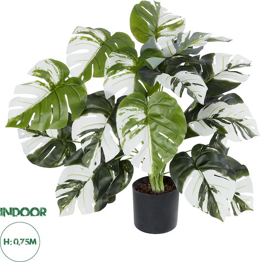 Globostar Künstliche Garten Albino Monstera 20925 Dekorative Pflanze Weiße Monstera H75cm
