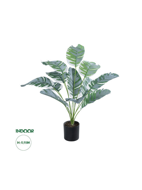 Globostar? Artificial Garden Banana Zebra 20930 Decorative Plant Banana Zebra H55cm