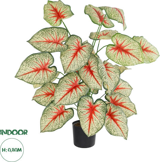 Globostar Künstlicher Garten-Kaladium 20921 Dekorative Kaladium-Pflanze H80cm