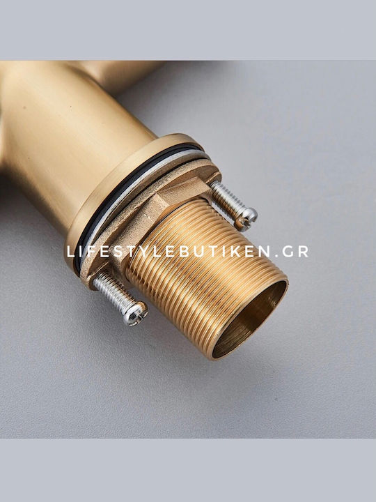 Naron Ψηλή Μπαταρία Κουζίνας Πάγκου με Ντουζ Brushed Gold