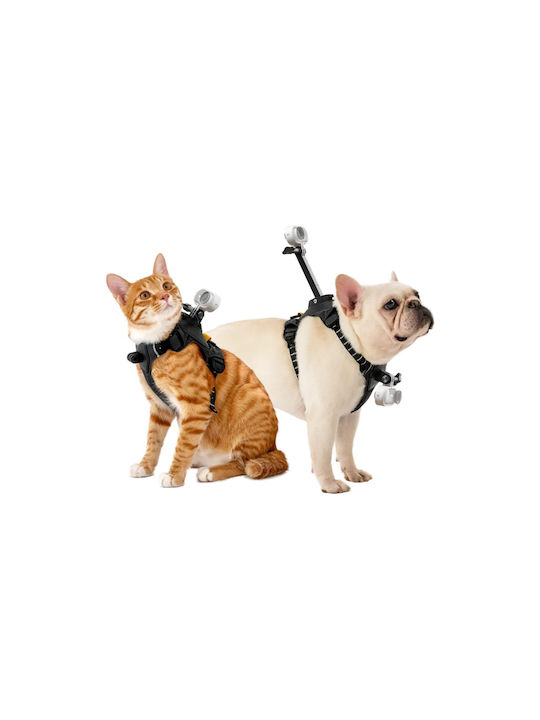 Insta360 Go 3S Hundegeschirre Schwarz Klein