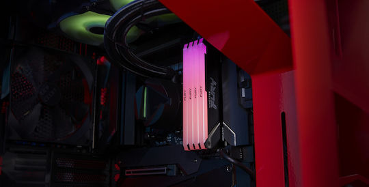Kingston Fury Beast DDR4 with Module 1x16GB and Speed 3600 for Desktop