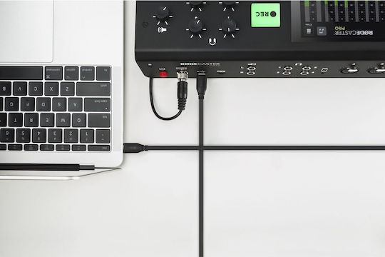 Rode SC-17 USB 2.0 Kabel USB-C männlich - USB-C Schwarz 1,5m 400830092