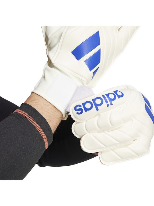 adidas Copa Gl Clb Adults Goalkeeper Gloves White
