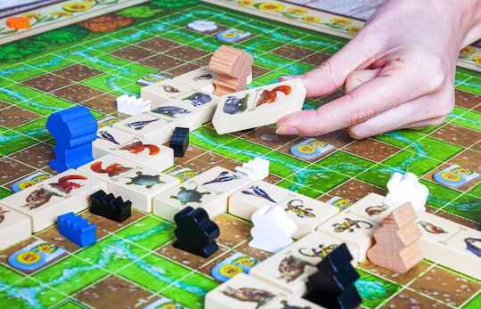 Brettspiel Renature für 2-4 Spieler 8+ Jahre (GER) Pegasus Spiele
